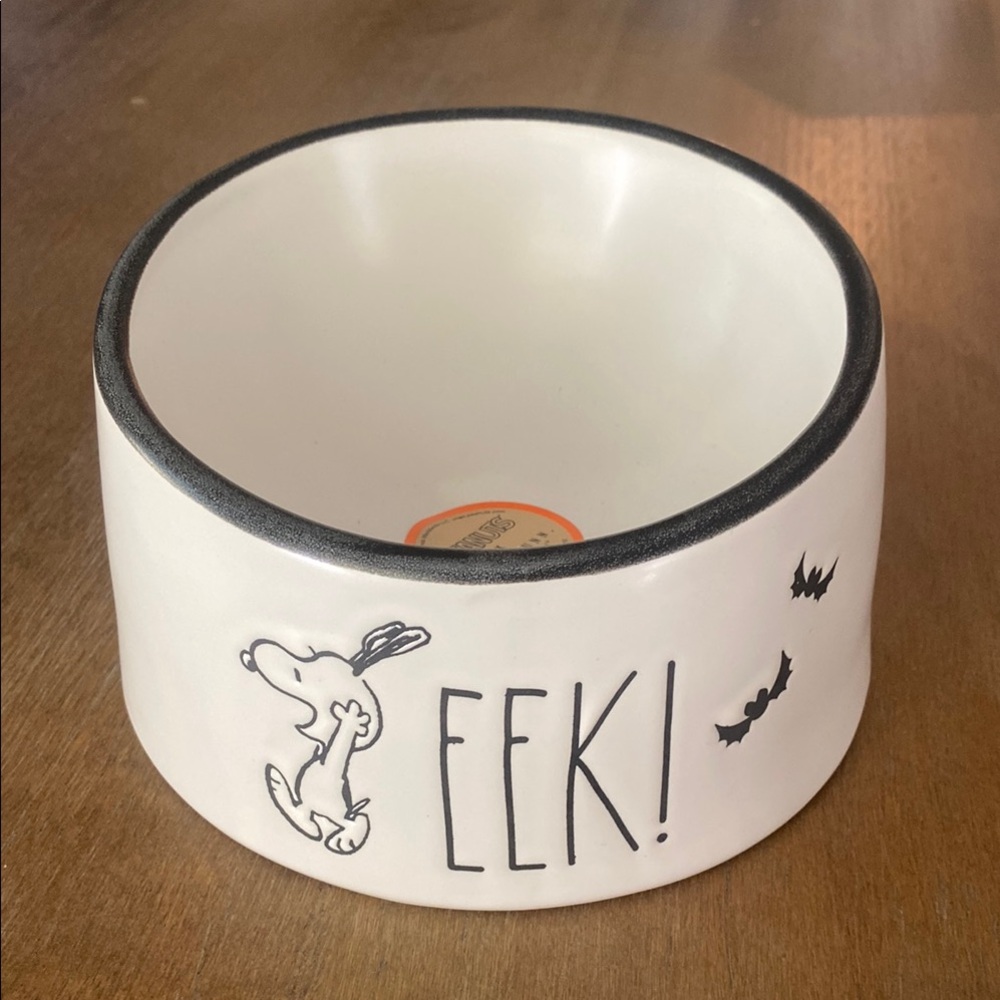 Rae Dunn Peanuts Pet Bowl